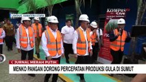 Menko Pangan Zulhas dan Mendag Budi Santoso Tinjau Kebun dan Pabrik Gula di Sumut