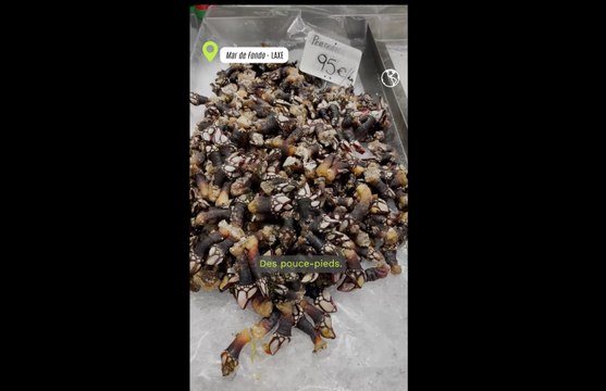 Espagne : les bonnes adresses de bars à tapas en Galice