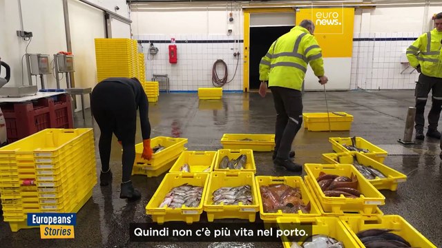 Protezione dei delfini e sopravvivenza dei pescatori nel Golfo di Biscaglia: un equilibrio difficile