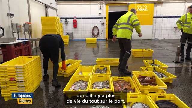 Protection des dauphins et survie des pêcheurs : le dilemme du Golfe de Gascogne