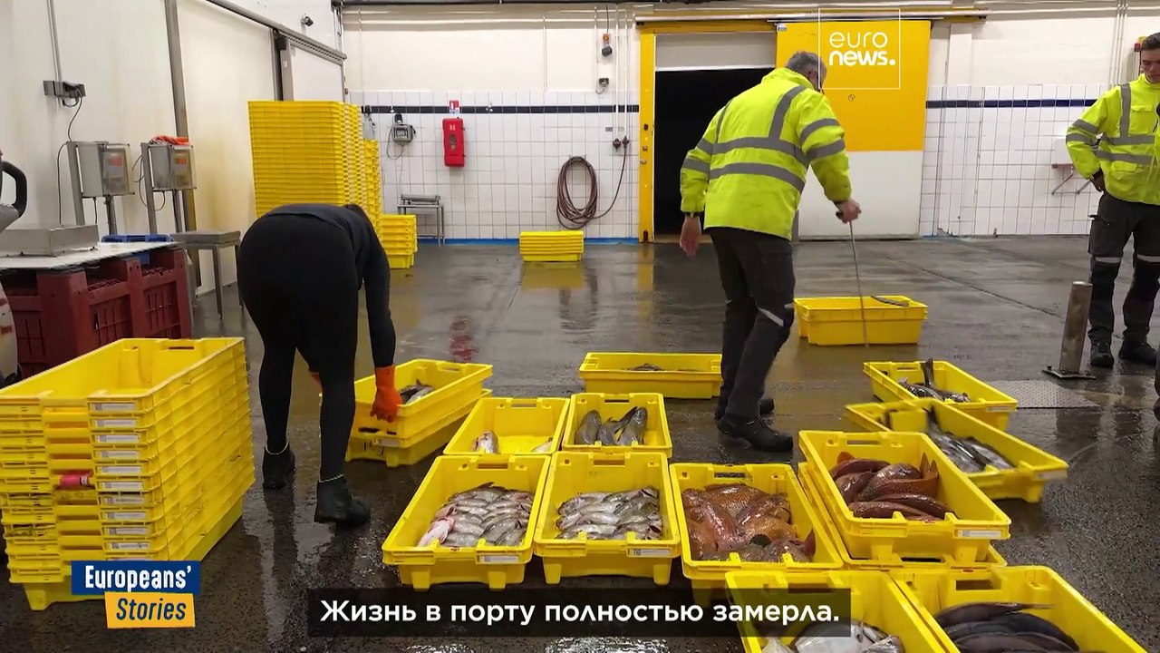 Бискайский залив: запреты на лов рыбы для спасе...