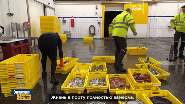 Бискайский залив: запреты на лов рыбы для спасения дельфинов бьют по рыбакам