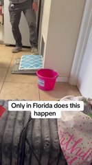 Squirrel Runs Out of Vent When Man Opens it