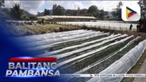 Flood mitigation structure ng DPWH, malaking tulong para protektahan ang mga pananim at matugunan ang baha sa Balili River