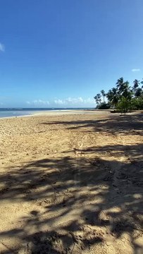 PLAYA POPI SAMANA REPUBLICA DOMINICANA.
