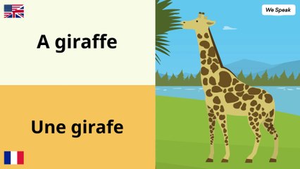 Lesson 1 ✪ Les animeaux en Anglais 📚 Animals in English ✔