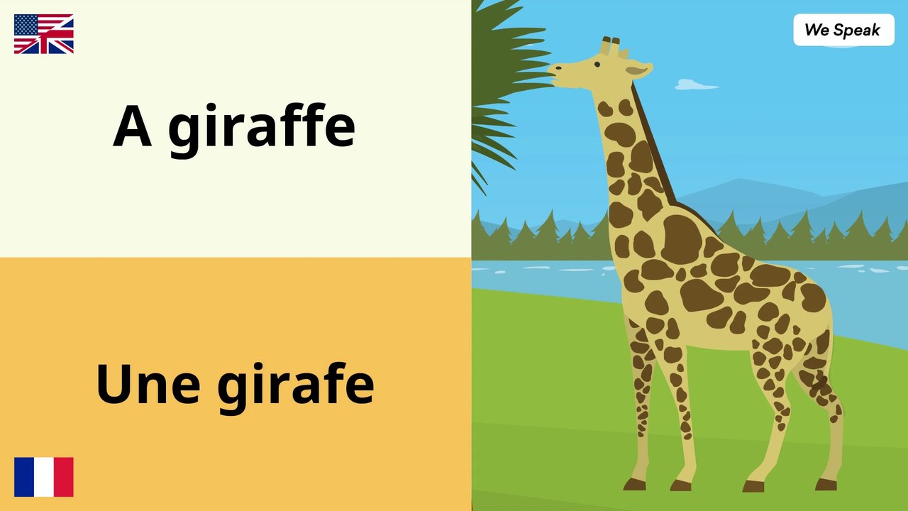 Lesson 1 ✪ Les animeaux en Anglais 📚 Animals in English ✔