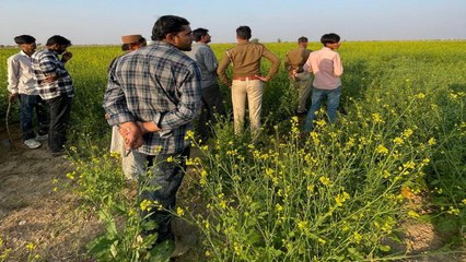 Watch Video: पैंथर दिखने की सूचना से हड़कंप, तलाश जारी