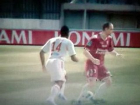 PETIT PONT GOVOU PES