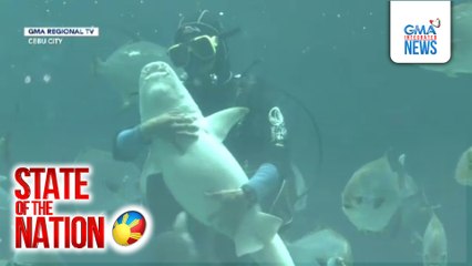 State of the Nation: (Part 3) PUSUAN NA 'YAN: Pating at kuting; Atbp.