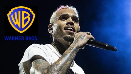 Why Did Chris Brown Charge A $500 Million Defamation Suit Against Warner Bros?