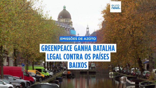 Governo neerlandês obrigado a reduzir as emissões de azoto até 2030: vitória legal para a Greenpeace