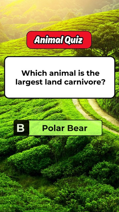 "Guess the Correct Answer! 🤔💡 Test Your Knowledge! #Quiz #Shorts"