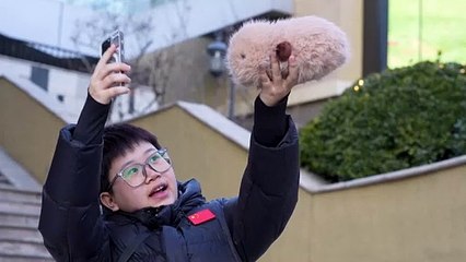 Pets de Inteligência Artificial fazem sucesso na China