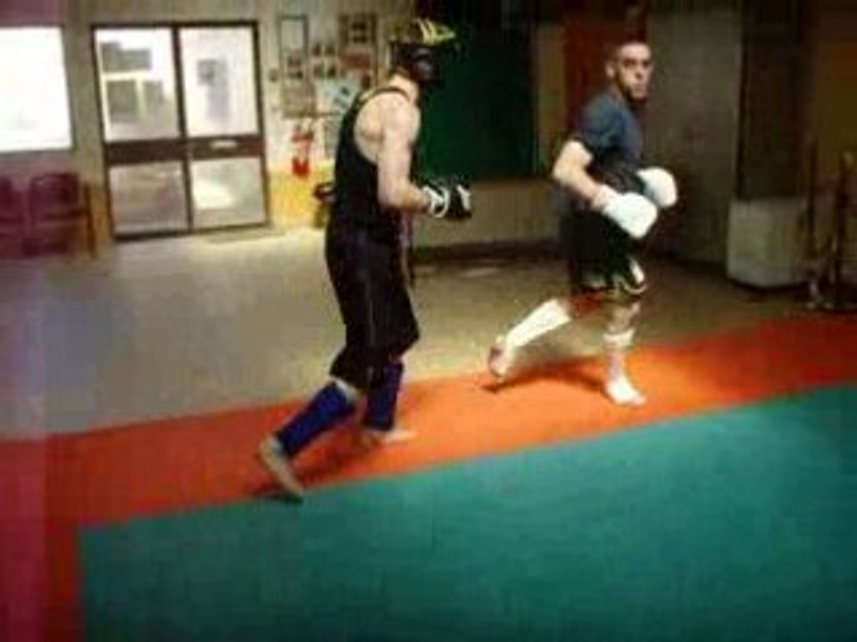 $ly vs sham (anaconda lyon)