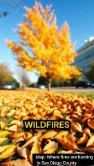 Map: Where fires are burning in San Diego County #map #shorts #californiafires #palisadesfires