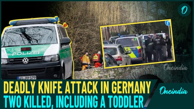 Knife Attack in Aschaffenburg, Germany: Afghan Suspect Arrested - Toddler Among Killed, Two Injured