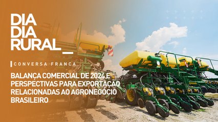 Balança comercial de 2024 e perspectivas para exportação relacionadas ao agronegócio brasileiro