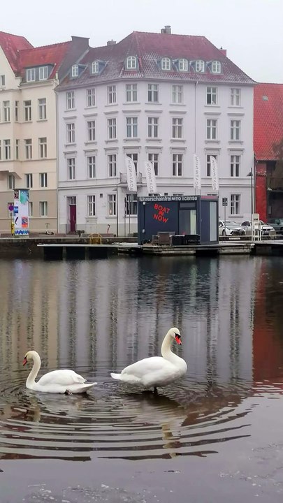 📍🇩🇪 Explore Lübeck, the Jewel of Schleswig-Holstein! 🏰✨ #Lübeck #SchleswigHolstein #Germantravel