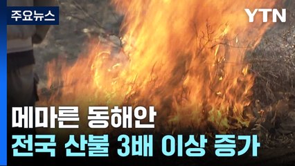 눈 없는 겨울, 메마른 동해안...대형 산불 경계령 / YTN