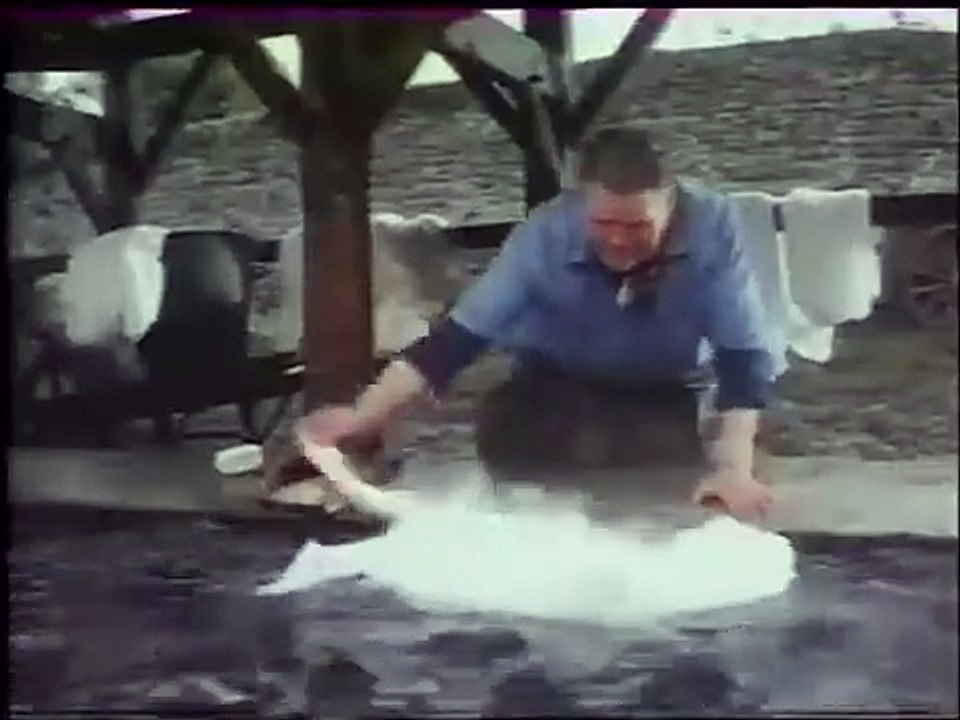 Publicité Vedette : Le rinçage de la mère Denis