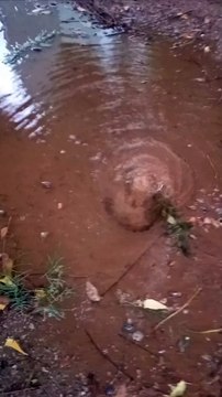 Moradores reclamam de vazamento de água potável no bairro Belo Horizonte