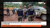 Misiones registró una baja en la pérdida de bosques nativos durante el último año