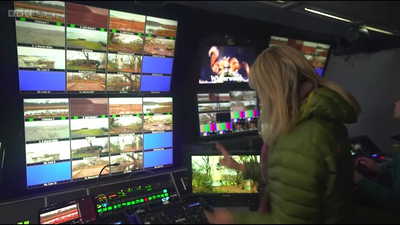 Winterwatch 2025 episode 2 video Dailymotion