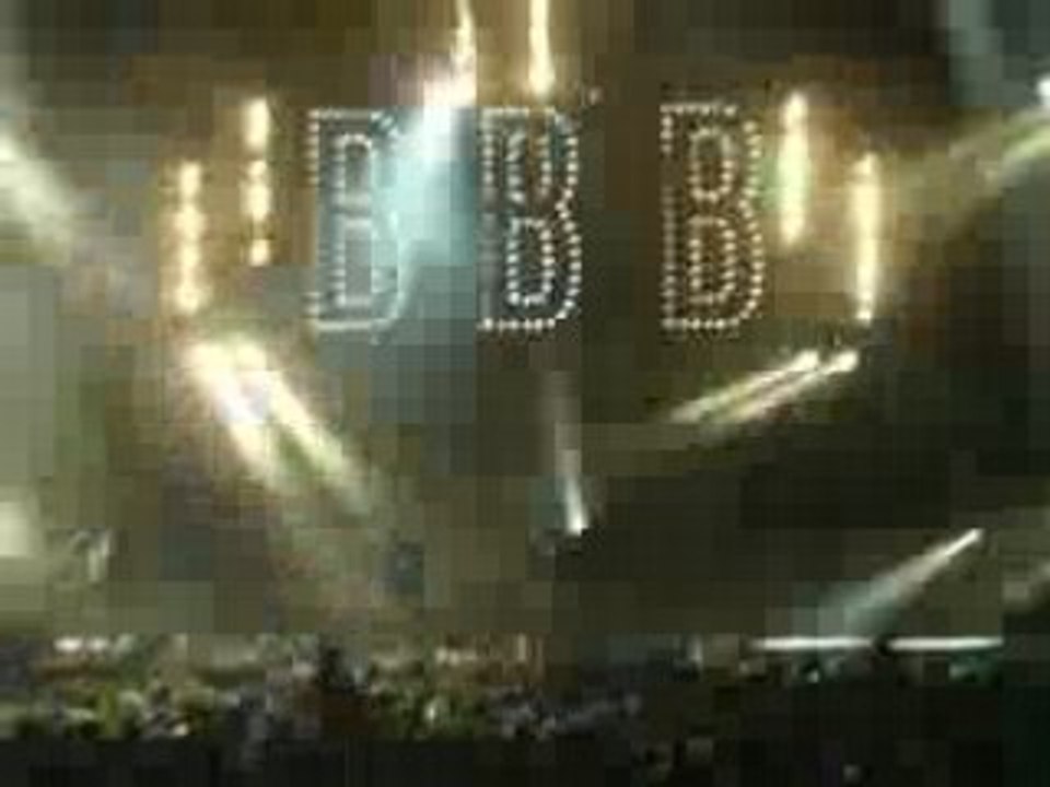 BB brunes Artefacts 18.04.08