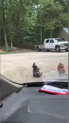 At the beginning of September, the scratching area will be less itchy 😆