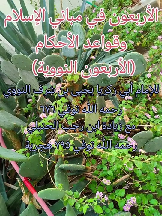 الأربعون النووية ( 1 )