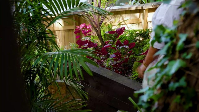 176 Marks Point Road, Marks Point - The Newcastle Herald - January 23, 2025