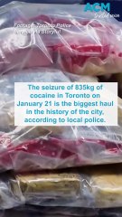 ‘Largest cocaine bust' in Toronto’s history