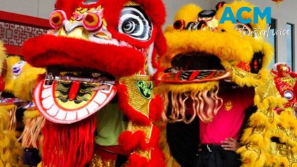 Celebrate the Lunar New Year 2025: Welcome the Year of the Wood Snake 🐍