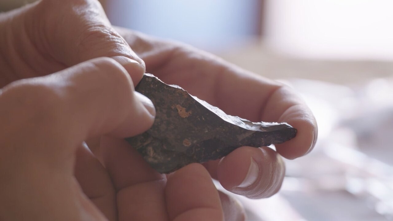 Homo sapiens les nouvelles origines