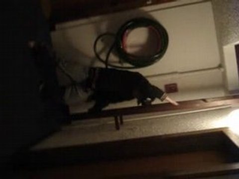 On a les copains qu'on mérite..je vous aime mes poussins!!