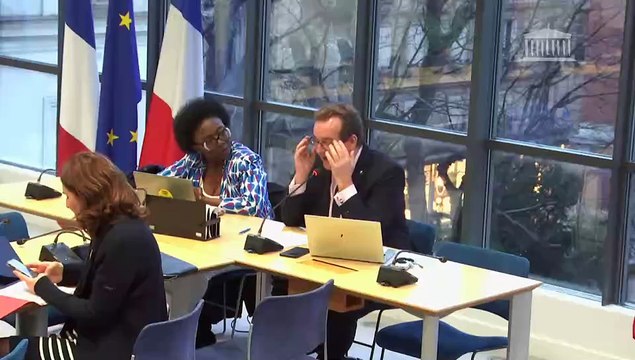 Commission des affaires européennes : Conséquences pour l’Europe de l’élection de M. Donald Trump à la présidence des États-Unis - Mercredi 22 janvier 2025