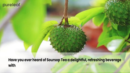 5 Health Benefits of Soursop Tea