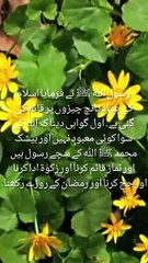Hadis-e- nabwi sallallahu alaihi wassallam