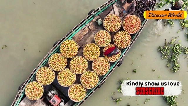 DRC What The Media Will Not Show democratic republic of Congo