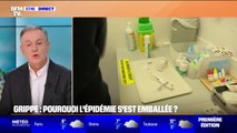 Épidémie de grippe: 