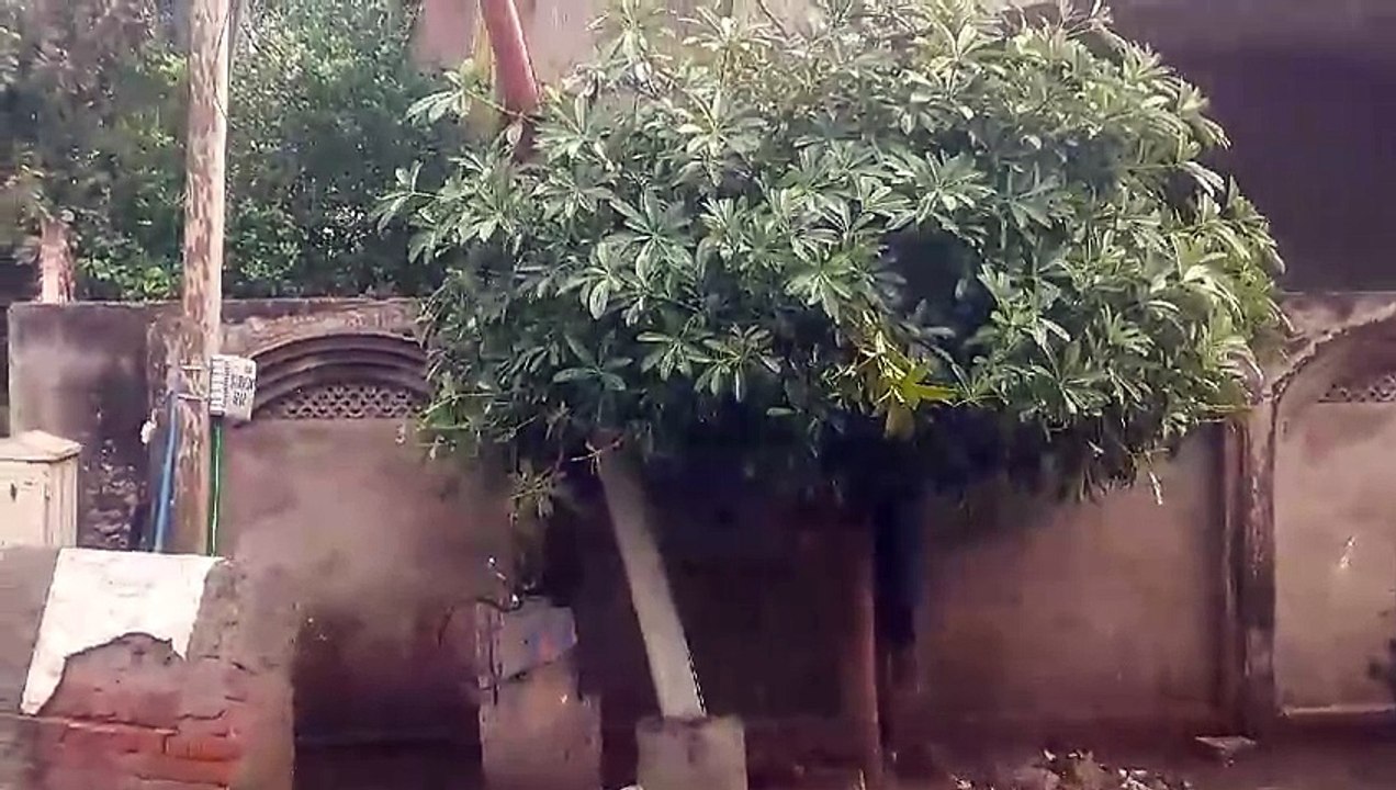 मौसम अपडेट....