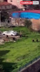 Cezaevinden firar eden suç makinesi eşini katletti