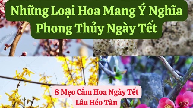 8 Mẹo Cắm Hoa Ngày Tết Lâu Héo Tàn - Loại Hoa Mang Ý Nghĩa Phong Thủy Ngày Tết -