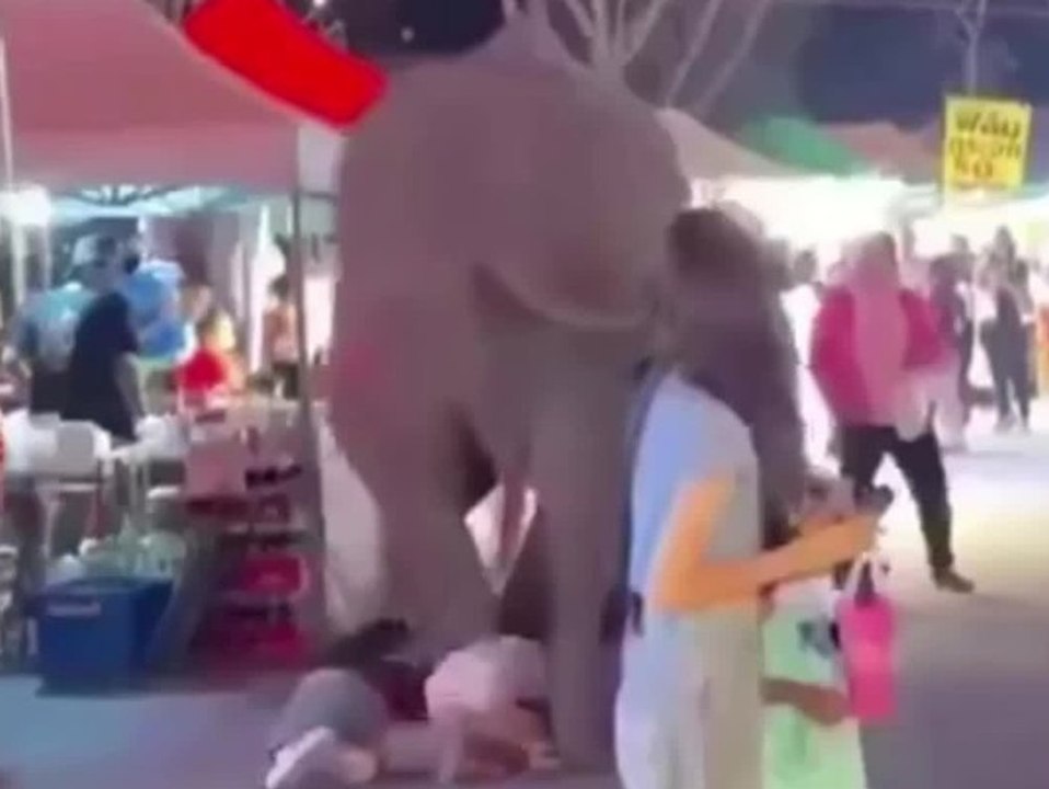 Durch Feuerwerkskörper erschreckt: Elefant rennt in Menschenmenge