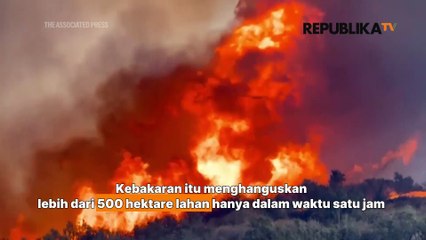 Kebakaran Lahan Kembali Landa Los Angeles