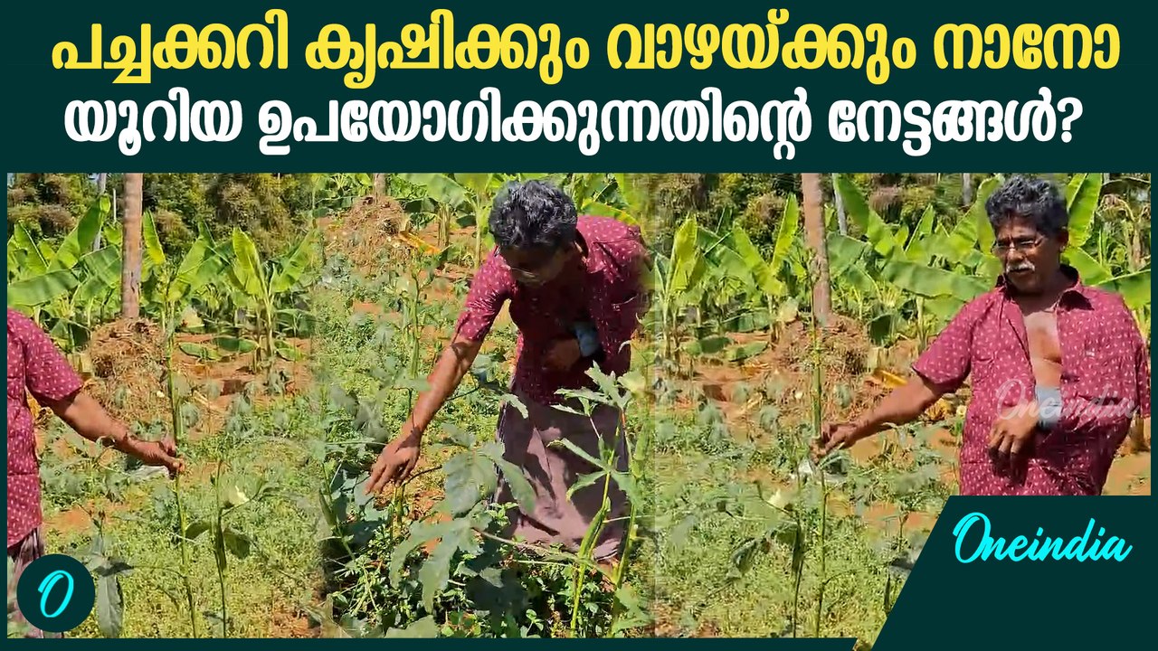 'വെണ്ടയ്ക്ക നല്ല വലുപ്പം വെച്ചു'; പച്ചക്കറി കൃഷിക്ക്  നാനോ യൂറിയ ഉപയോഗിക്കുന്നതിന്റെ നേട്ടങ്ങൾ?