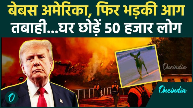 California Wildfires: America के Los Angeles में फिर आग का तांडव | Donald Trump | वनइंडिया हिंदी