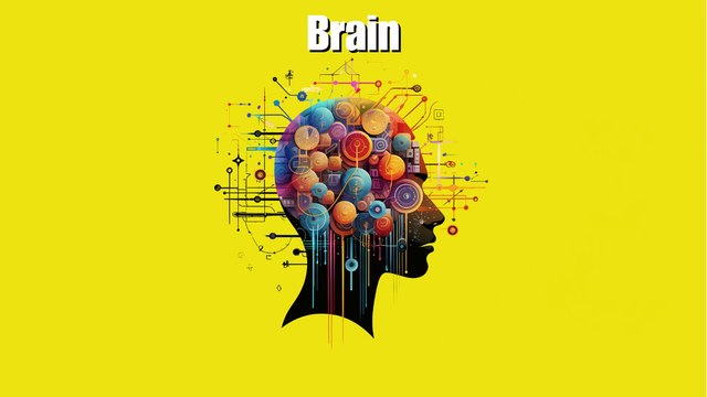 🎶 A to Z Body Song || ABC Adventurers Song || Fun A to Z Human Body Song for Kids! 🎶