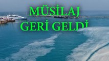 “Marmara Denizi’ni kurtarmak için 1 milyar dolar gerekiyor” – Prof. Dr. Bayram Öztürk anlatıyor